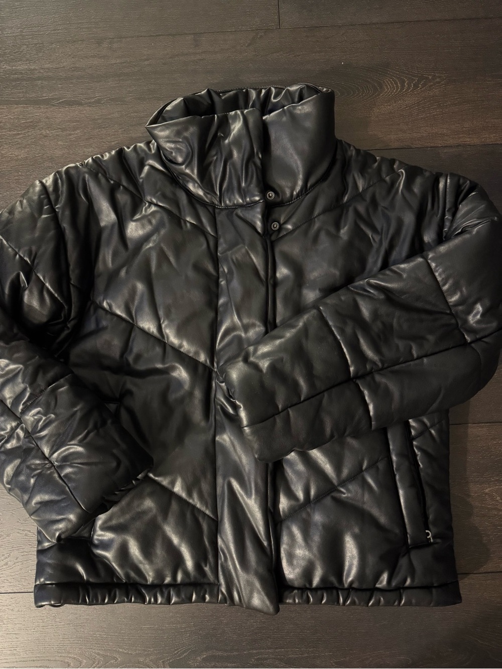 Aritzia Leather Duvet Winter Coat